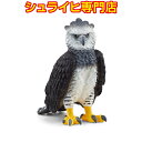 シュライヒ オウギワシ 14862 動物フィギュア ワイルドライフ Wild Life サファリ Safari schleich 2023 新商品