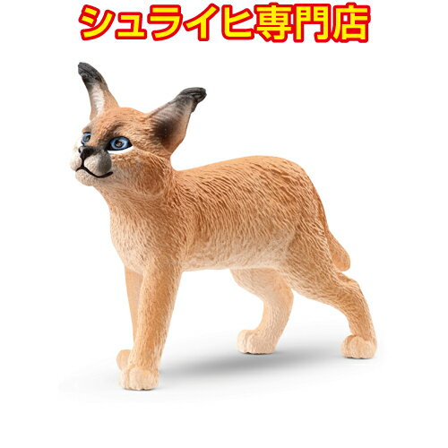 【シュライヒ専門店】シュライヒ カラカル 仔 14868 動物フィギュア ワイルドライフ Wild Life サファリ Safari schleich 2023 新商品