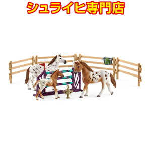 【シュライヒ専門店】シュライヒ アパルーサ馬のトレーニングセット 42433 動物フィギュア ファームワールド FARM WORLD 馬 ウマ horses schleich