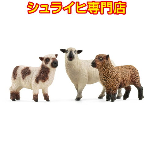 qcW̒