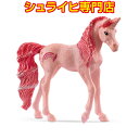 yVCqXzVCq g} 70772 dtBMA o Gt bayala elves schleich 2023 Vi