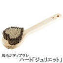 浅草アートブラシ 正規品 馬毛ボディブラシ ジュリエット ひのきのボディーブラシ ‐ロングハンドル 柔らかめ 天然木 ひのき クリーナー付 お風呂 背中 毛穴 ...