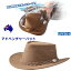 【直送】冷える帽子 SPF50+ アドベンチャーハット‐アウトドアハット 気化熱 UVカット帽子 熱中症対策 折りたたみ可能 コンパクト 男性 オーストラリア Chaylor Fenneli社