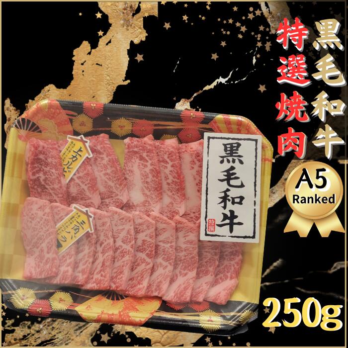 送料無料 【最高ランク】特選 A5ランク 黒毛和牛 焼肉 一人前 250gアウトドア BBQ カルビ かるび ヤキ..