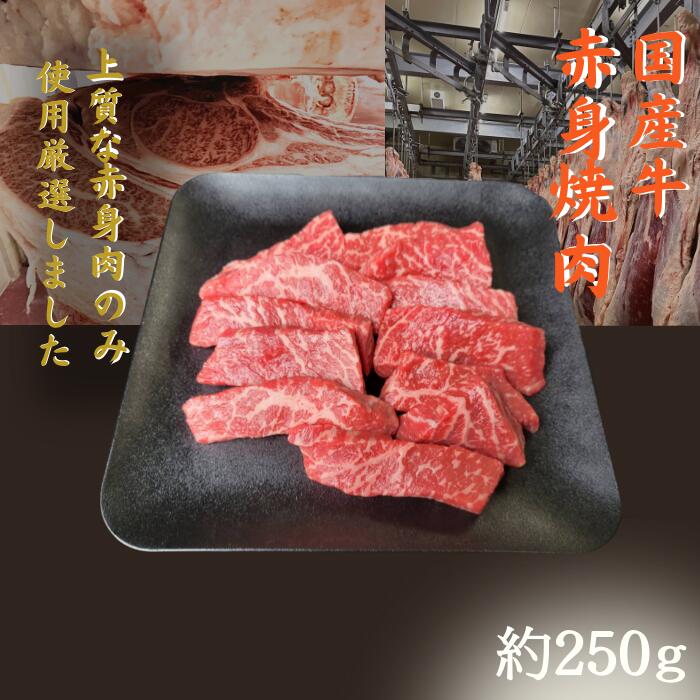 ☆送料無料☆ BBQ お家焼肉用 赤身 焼肉 　250g アウトドア 肉 カルビ バラ