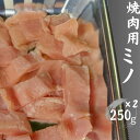 送料無料 上ミノ ホルモン 500g 焼肉 BBQ バーベキュー ルモン焼き 焼き肉 食材 食品 牛肉 肉 希少部位 家飲み キャンプ飯 おつまみ グルメ 食べ物