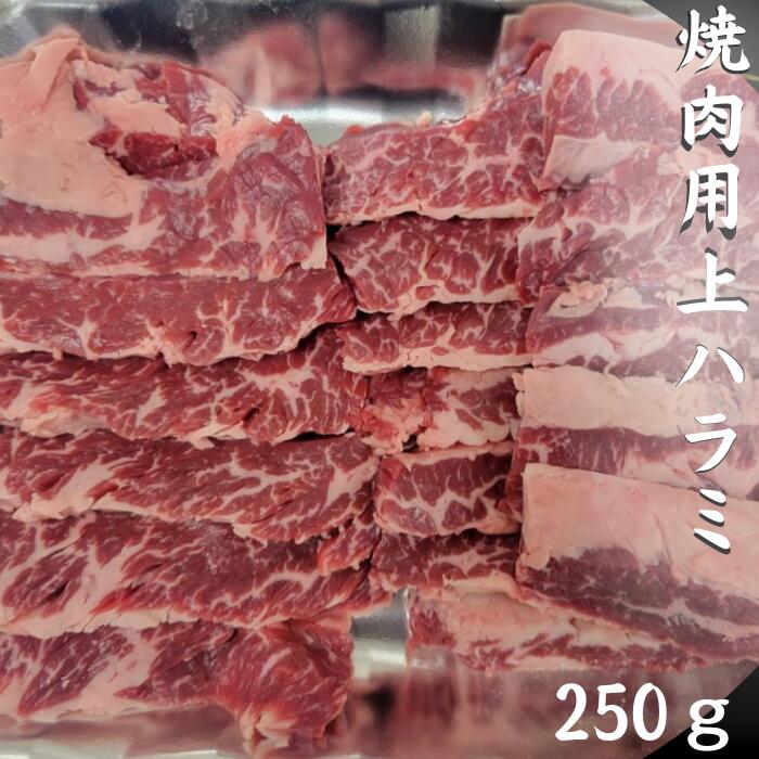 送料無料 希少 牛ハラミ スライス 250g 焼肉 BBQ 肉 お肉 はらみ ホルモン 炭火