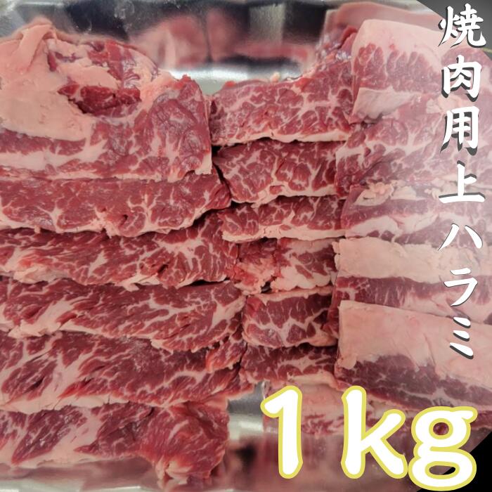   n~ XCX 1kgi250g~4j ē BBQ   ͂