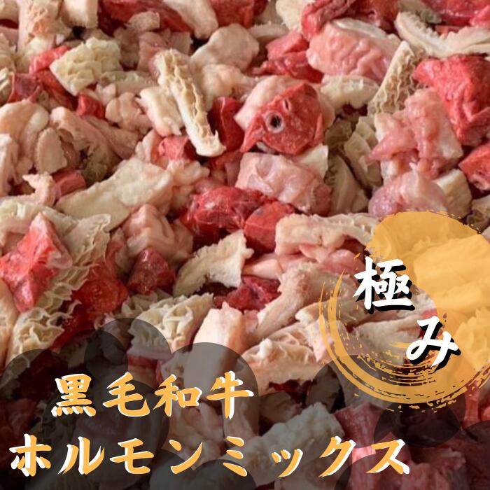 送料無料　ホルモンミックス　1kg　肺　盲腸　直腸　ハチノス　冷凍　ミックスホルモン ホルモンミックス ミックス ホルモン 牛ホルモン ミックス ホルモン鍋 もつ鍋 スタミナ 焼肉 焼き肉 業務用 詰め合わせ まとめ買いのサムネイル