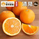 清見 清見オレンジ 清美 下津みかん 産地直送 お取り寄せ 和歌山県 訳あり 家庭用 送料無料 4kg 4月 入学祝 退職祝 入社祝 卒業祝 日本農業遺産 濃厚...