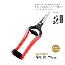 【12H限定★P5倍】【レビュー特典付】芽切鋏 芽切り鋏 収穫ハサミ 摘果 摘花 園芸 はさみ 鋏 ばさみ 剪定ばさみ 剪定バサミ 剪定はさみ 剪定鋏 プロ用 ...
