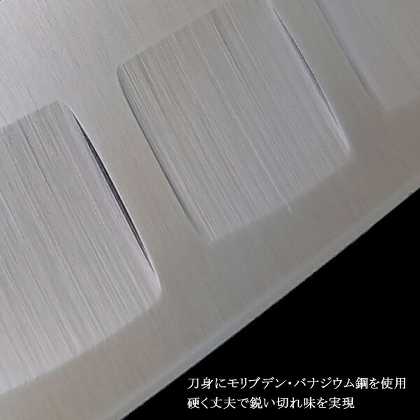 Seki High-Carbon Steel 150mm Gyuto (Chef's Knife) | Japanese Kitchen Knife – view 2