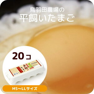 鳥羽田農場の平飼いたまご 20個入り 朝採れ新鮮 農場直送 生食用 MSサイズ～LLサイズ 鳥羽田農場 平飼いたまご 平飼い 朝採れ卵 採れたて卵 赤玉 高級卵 卵かけご飯 栄養 新鮮 高級 アニマルウェルフェア ケージフリー 動物福 おいしい卵 こだわり卵 プレゼント 贈答用