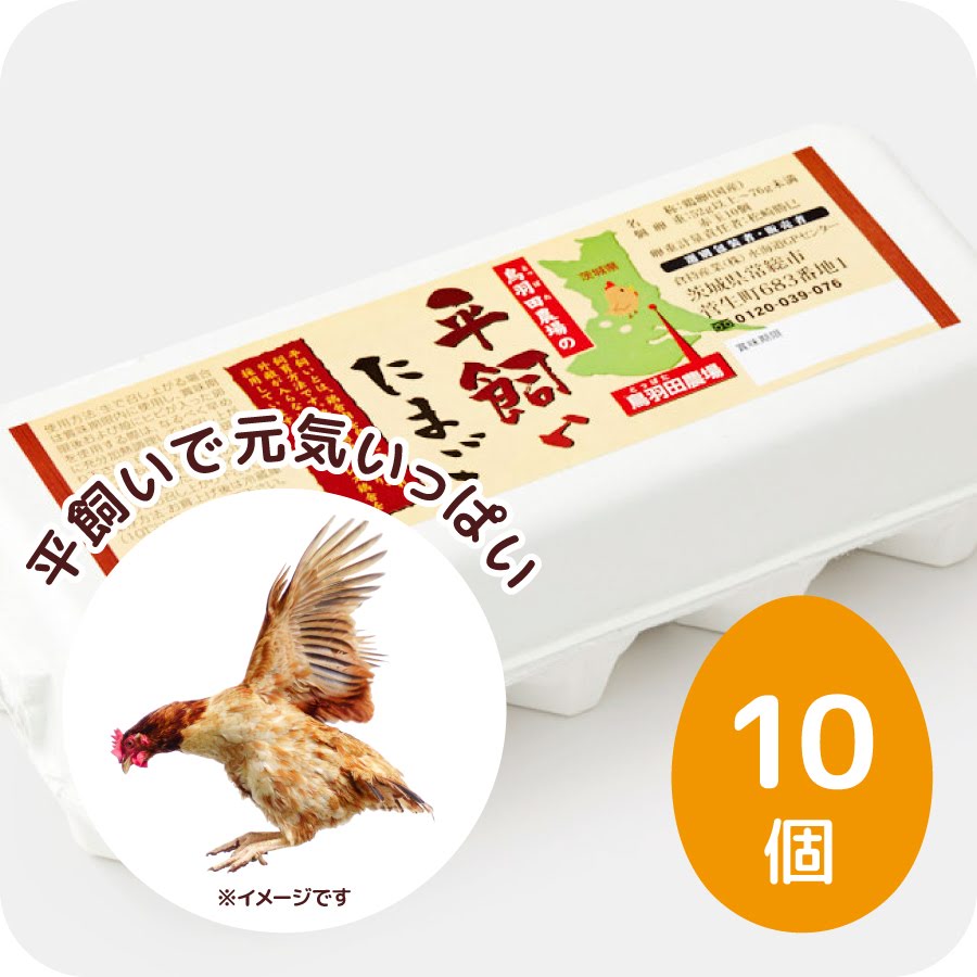 メディアでも紹介 朝採れ新鮮 平飼い卵 鳥羽田農場の平飼いたまご　10個（MSサイズ〜LLサイズ）アニマルウェルフェア/生卵/たまご/卵/玉子/卵かけご飯/赤玉/お試し/高級/高級卵/濃厚/鶏卵/栄養/新鮮/ビタミン/家庭用/業務用/まとめ買い/卵かけ/ご飯/パック/包装