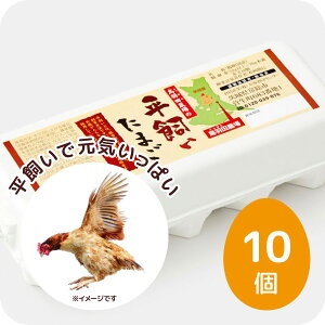 メディアでも紹介 朝採れ新鮮 平飼い卵 鳥羽田農場の平飼いたまご 10個(MSサイズ〜LLサイズ)アニマルウェルフェア/生卵/たまご/卵/玉子/卵かけご飯/赤玉/お試し/高級/高級卵/濃厚/鶏卵/栄養/新鮮/ビタミン/家庭用/業務用/まとめ買い/卵かけ/ご飯/パック/包装