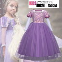 子供用プリンセスドレス衣装 クリスマス・クリスマス・誕生日会・イベントで大活躍!プリンセス ドレス キッズ 子供 衣装 プリンセス ドレス プリンセスドレス ロング コスチューム コスプレ クリスマス Dハロ クリスマス お姫様 110 1 プレゼント