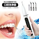 高周波振動口腔洗浄機口腔洗浄器 美歯器口腔洗浄機 USB充電式IPX6防水 歯掃除器歯のケア歯茎ケアー 歯間 歯垢洗浄 口臭防止ジェットウォッシャー ウォーター...