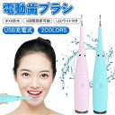 超音波スケーラー口臭予防 歯周病予防 IPX6防水 口腔洗浄器歯用ツール 超音波デンタルクリーナー歯石取り器具 口腔洗浄器歯石取りスクレバー 高周波振動口腔洗浄...