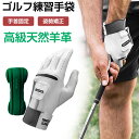 ゴルフ練習手袋 多機能 ゴルフグローブ メンズ 全天候型 左手用 右手用 片手 手首固定 姿勢矯正 滑り止め 柔らかい 耐久性 ゴルフ練習用 練習器具 ゴルフ用...