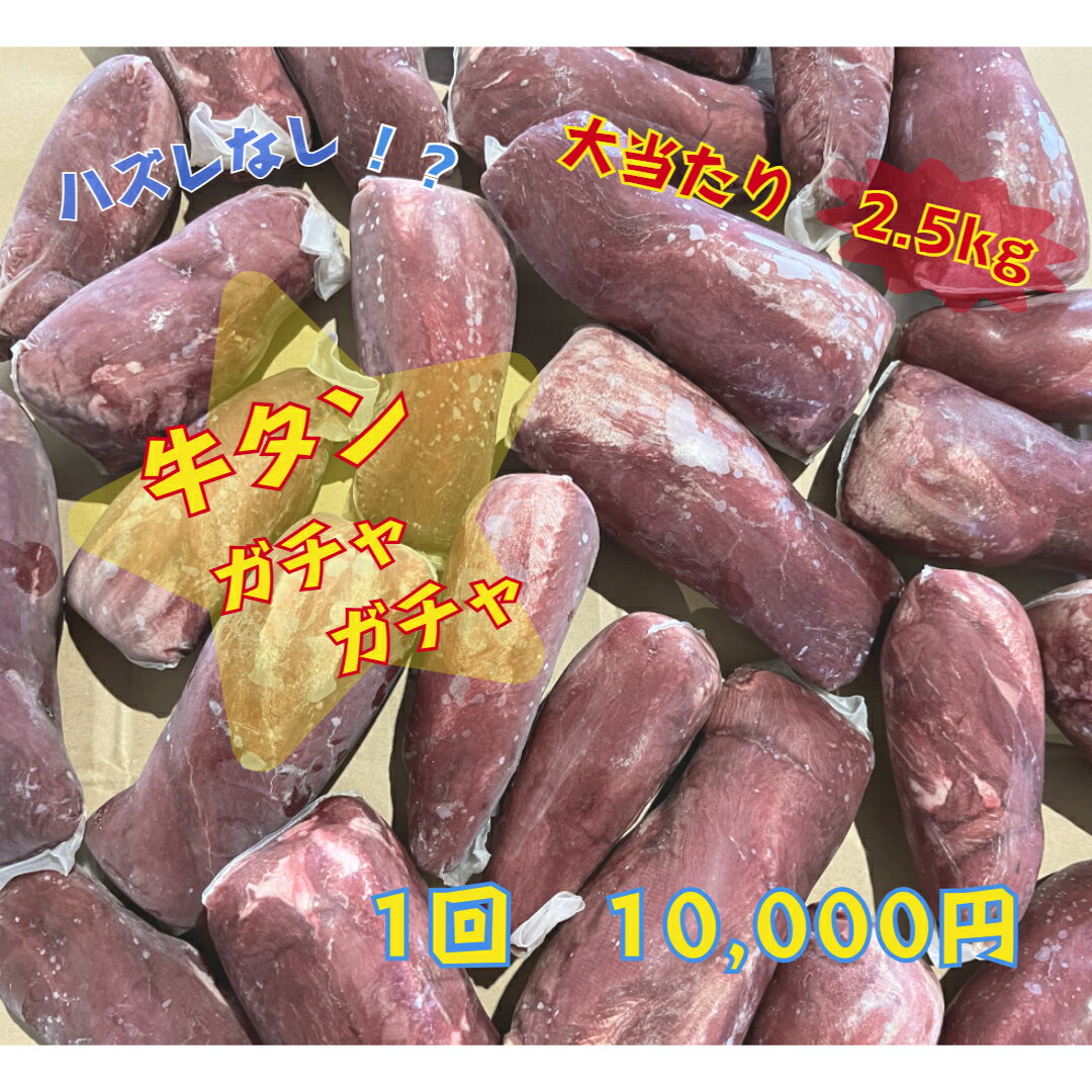 ^ ubN K` Max2.5kg Ⓚ [bpY K` ē BBQ ^J[ ^V`[ Ɩp K`K` K`|