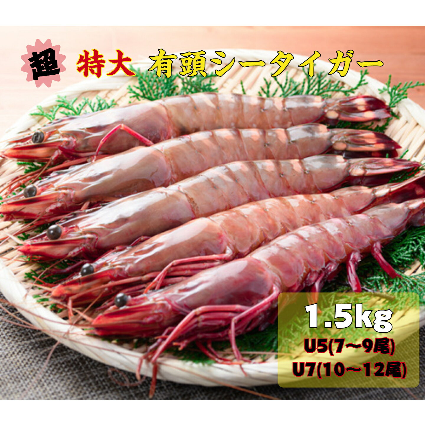 シータイガー 有頭 特大 超特大 エビ えび 海老 1.5kg ウシエビ 天然 大海老 大エビ 大えび BBQ バーベキュー 串焼き 原始焼き 贈答用 プレゼント 贈り物 海鮮 業務用 冷凍 殻付き