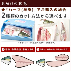ハーフ(半身)でご購入の場合【オリーブハマチ】