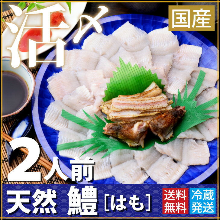 ギフト 鱧 天然活け〆鱧 はも 骨切り（250g 鱧2-3匹分）2人用 送料無料 捌きたて冷蔵なので美味しさが違います！ 贈り物にも人気◇ 天然 コラーゲン 海鮮 刺身 祝い 骨切り カット済 カンタン調理 簡単 湯引き 鱧鍋 鱧天ぷら 鱧吸い物（冷蔵便）祇園祭 料亭 敬老の日