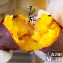 ヒルナンデスで紹介♪ さつまいも 森の絹 サツマイモ 生芋 Mサイズ 10kg 紅はるか 甘すぎて研究対象になった ブランド 熟成 島根県産 奥出雲 飯南町産 ...