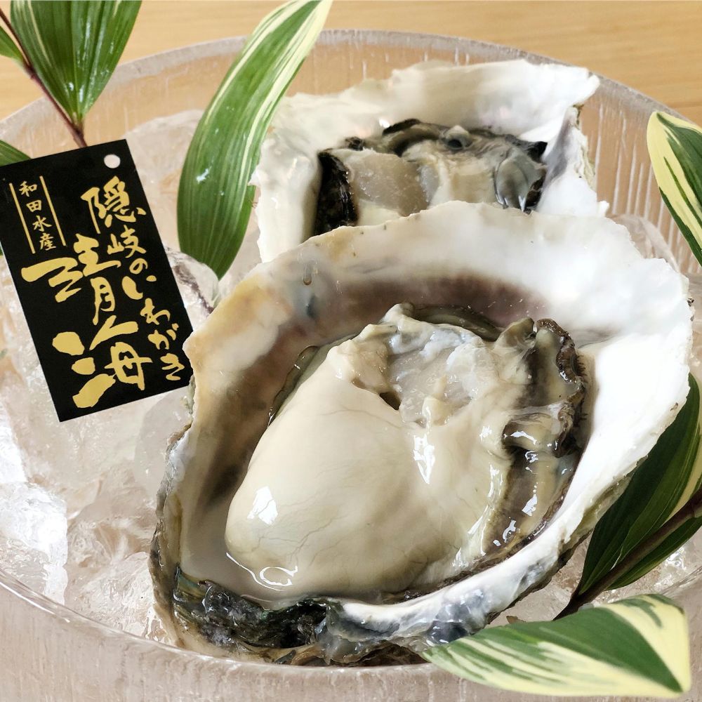 隠岐の島 ブランド 岩牡蠣 いわがき 「清海」 せいかい 生食用 殻付き Lサイズ 300～350g 8個セット 隠岐より直送 （専用ナイフ、軍手、レシピ付き）