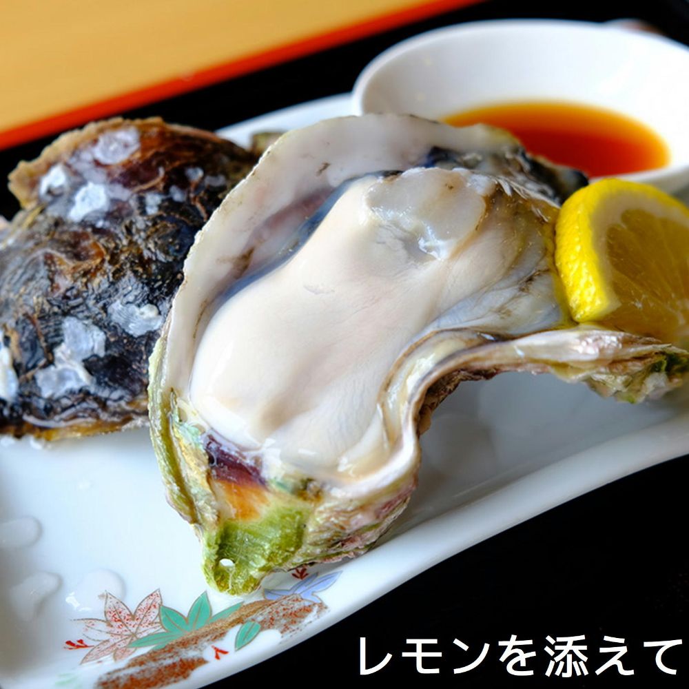 隠岐の島 ブランド 岩牡蠣 いわがき 「清海」 せいかい 生食用 殻付き 3Lサイズ 400～450g 5個セット 隠岐より直送 （専用ナイフ、軍手、レシピ付き）