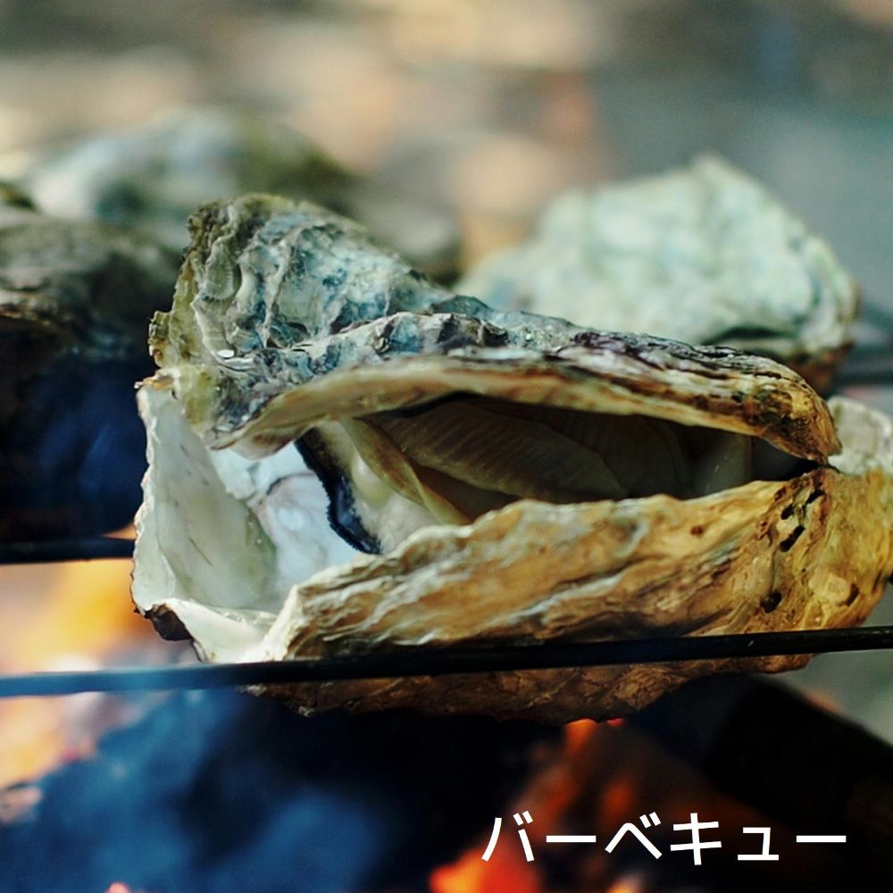 隠岐の島 ブランド 岩牡蠣 いわがき 「清海」 せいかい 生食用 殻付き 3Lサイズ 400～450g 5個セット 隠岐より直送 （専用ナイフ、軍手、レシピ付き）