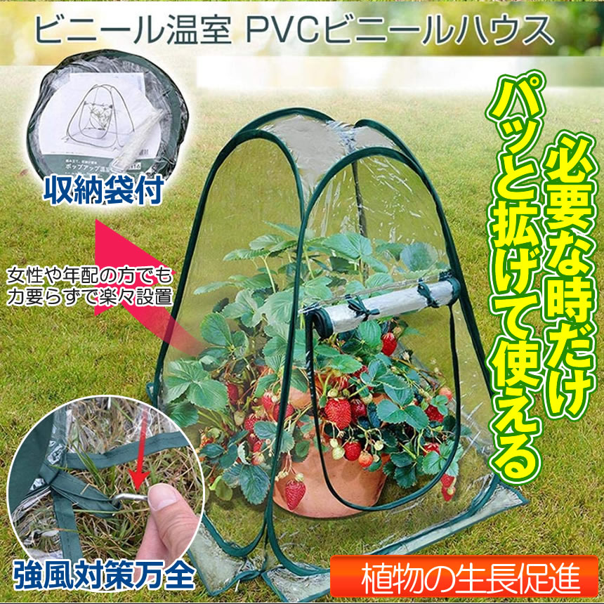 �ڥѥäȹ����ƻȤ���� �ӥˡ���ϥ��� �����ϥ��� ���� ������ �����ڱ� �ޤꤿ���� �ޤ���� �ե���������� �ߥ˥����ǥ� �������С� �ۡ��ಹ�� �ɿ� UV�ɻ� ����� ��Ω�� ��ñ ����̵�� GRED