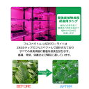 kurano-value:10003646のサンプル画像3