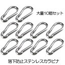 【10個セット】 カラビナ キーホルダー ステンレス おしゃれ アウトドア Dリング ボトルホルダー 鍵 ホルダー キーチェーン キーリング キャンプ ギフト ...