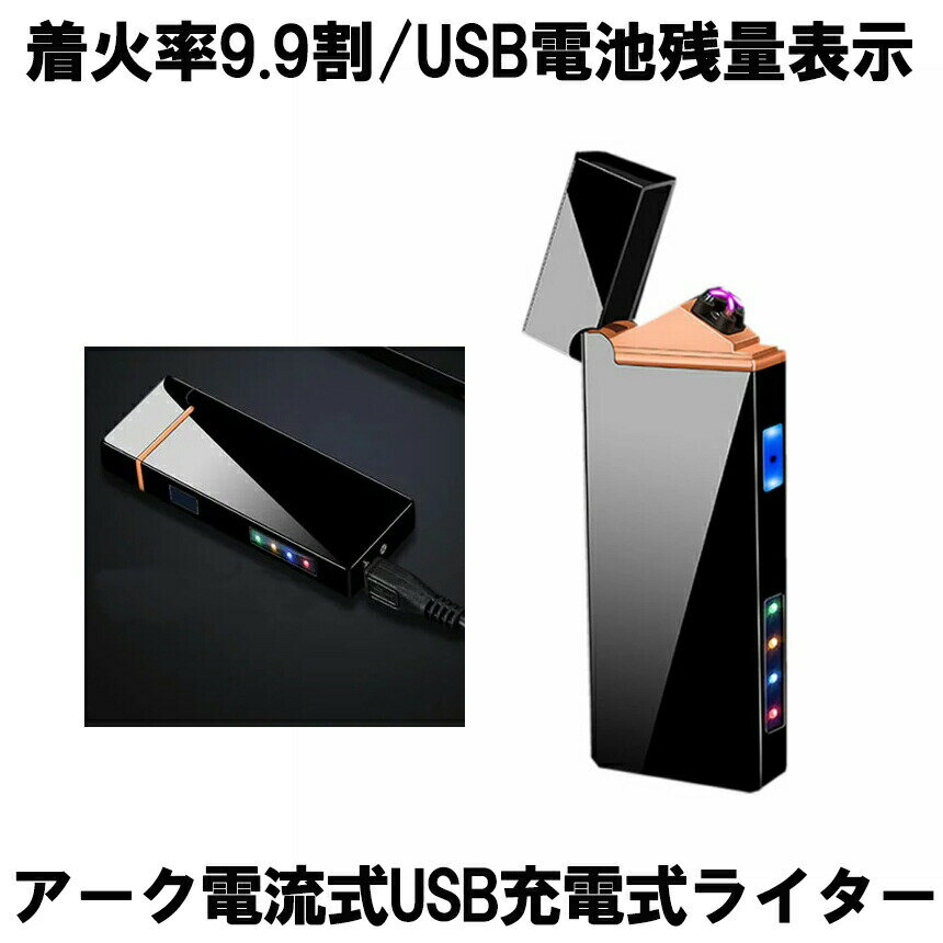 楽天KURANO バリュー店【USB充電式で手軽に使える】 電子ライター USBライター プラズマライター アークライター 無煙ライター ライター USB充電式ライター Wアーク 電流 電子 小型 軽量 タバコ シガー 軽量 携帯 LED 煙草 花火 防風 ARKDDEA