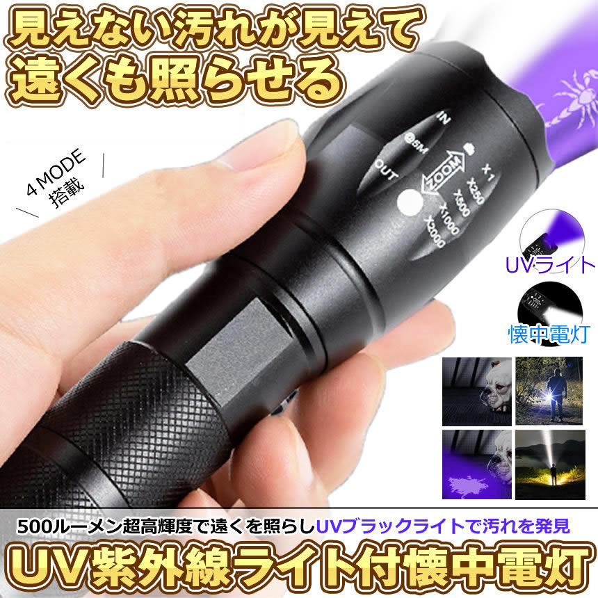 サンプル画像2