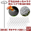 【 打ち込み超簡単 】 防草シート ピン Gピン杭 固定ピン 除草シート 50本 防草しーと 防そうシート 防そうしーと 固定用 固定 人工芝 おさえピン 押さ...