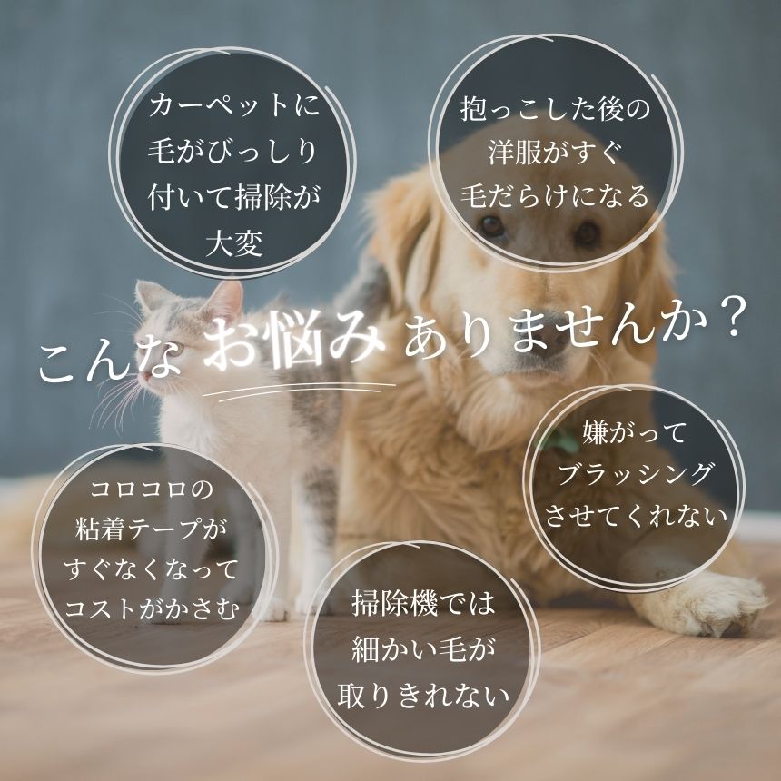 ���롼�ߥ󥰥������� �ڥå� �֥饷 ǭ���Ӽ�� �ڥåȥ������� ǭ �� �Ӽ�� ���� ȴ���� ���롼�ߥ� �������� ȴ���Ӽ�� ���ŵ� �� ȴ���ӥ������� æ�� �֥�å��� ���꡼�ʡ� �ڥå��� ȴ���ӥ��꡼�ʡ� ǭ���� ������ �ݽ� �����ڥå� ���ե�