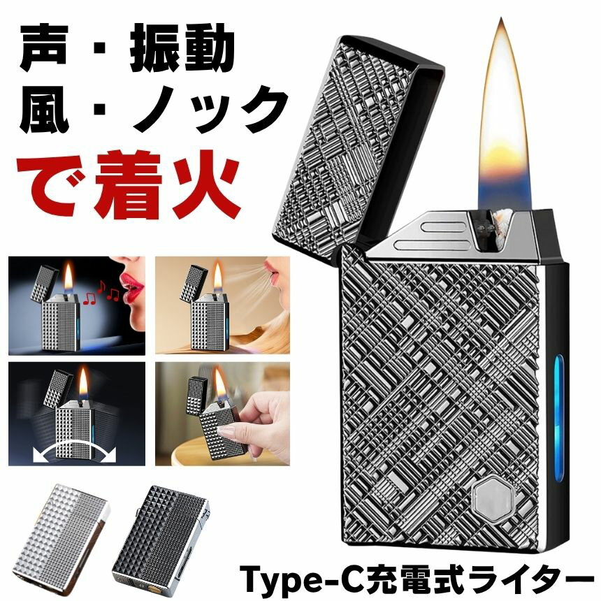 電子ライター usbライター 電子 ライター 電気 Type-C オイルライター 電気ライター USB 線香 着火マン スマホ 防風 アウトドア オイル タバコ 煙草 着火 焚き火 火おこし 火起こし 小型 ライト 小型ライター 風よけライター 持ち運び 軽量