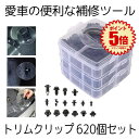 【 620個 セット 】 バンパークリップ トリムクリップ 16種類 車用 リベット 車 工具 クリップ リベットセット トリムファスナー リテーナ パネルはが...