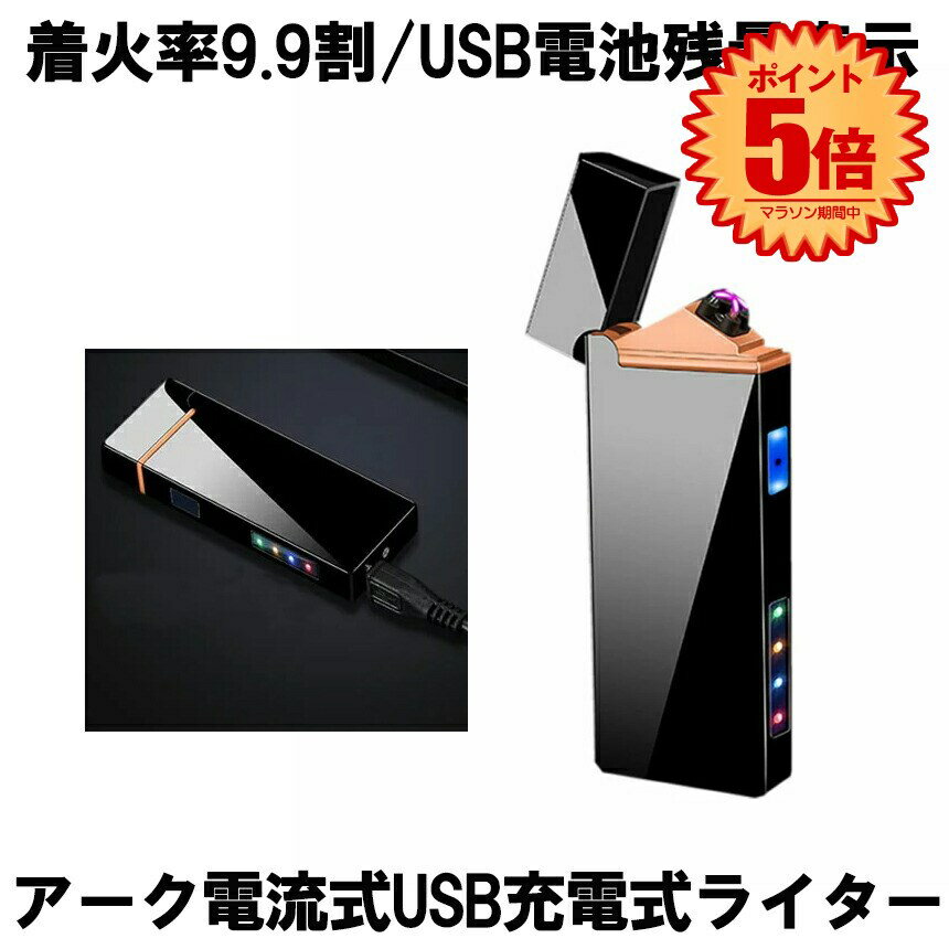   電子ライター USBライター プラズマライター アークライター 無煙ライター ライター USB充電式ライター Wアーク 電流 電子 小型 軽量 タバコ シガー 軽量 携帯 LED 煙草 花火 防風 ARKDDEA