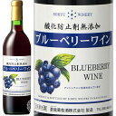 蒼龍 そうりゅう 酸化防止剤無添加 ブルーベリーワイン 蒼龍葡萄酒 720ml 瓶 【 フルーツワイン ブルーベリー 野生種 ワイルドブルーベリー 甘口 中口 アントシアニン ギフト プレゼント 】