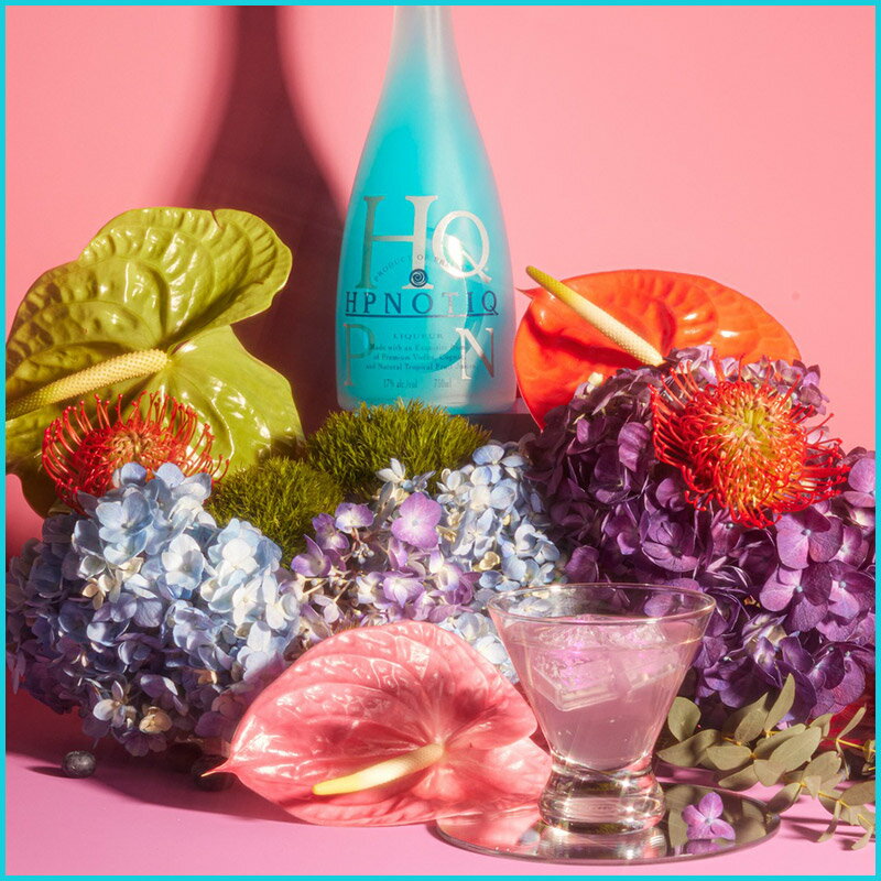 �ҥץΥƥ��å� HPNOTIQ �ꥭ�塼�� �¹�͢���� 17�� 750ml �� ���¹��ʡ�