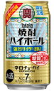 タカラ 焼酎ハイボール 強烈サイダー割り 350ml 缶 バラ　1本 【限定】