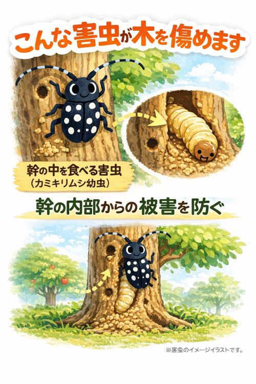 �ںǰ���ĩ����ۥ��åȥѥ����� �ڡ����� 90g �ڤ������� �ڤ�� ���� �� �ڤ�� ���� �� �ߺ������ڸ���ʤ���ۺ�