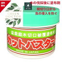 【最安値挑戦中】ハナゲン カットパスターHi 松柏さつき用 190g 切り株除去剤 切り株 除去 剤 切り株 処理 剤 盆栽庭木切口被覆塗布材