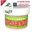 【最安値挑戦中】ハナゲン カットパスターHi 雑木用 190g 切り株除去剤 切り株 除去 剤 切り株 処理 剤 盆栽庭木切口被覆塗布材