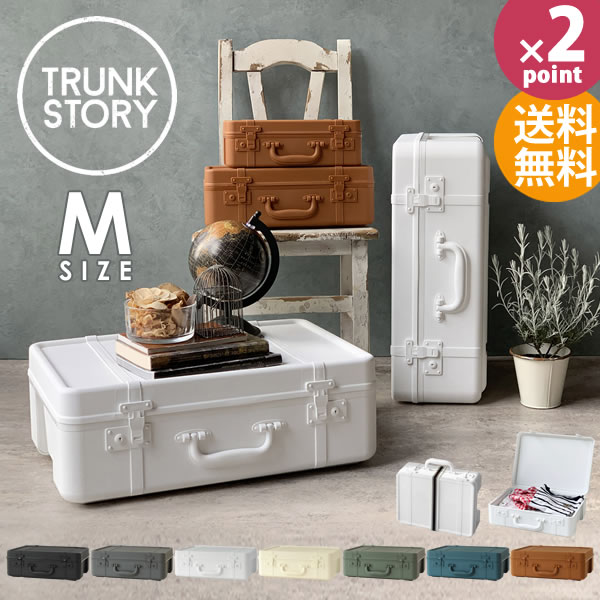 トランクストーリー TRUNK STORY マルチディスプレイ収納 M 収納ボックス フタ付き おしゃれ プラスチック 持ち手 収納ケース 小物 スタッキング リビング収納 オシャレ 収納 インテリア コスメボックス sceltevie セルテヴィエ [八幡化成] 【e暮らしR】【ポイント2倍】