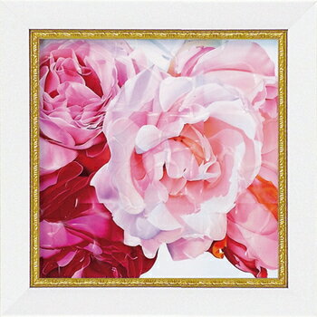 「ローズ2」アニー　バードラット【通信販売】(ミニゲル　アートポスター［絵画通販］）ピンクの花　赤い花　ピンク　赤　花　ばら　薔薇　バラ　絵　絵画　【壁掛けフック付き】【絵のある暮らし】