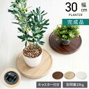 プランタースタンド Treno(トレーノ) キャスター付き 耐荷重20kg 幅300×奥行300×高さ37mm 完成品